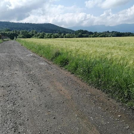 Domki Sowi Kamien Lomnica  Extérieur photo