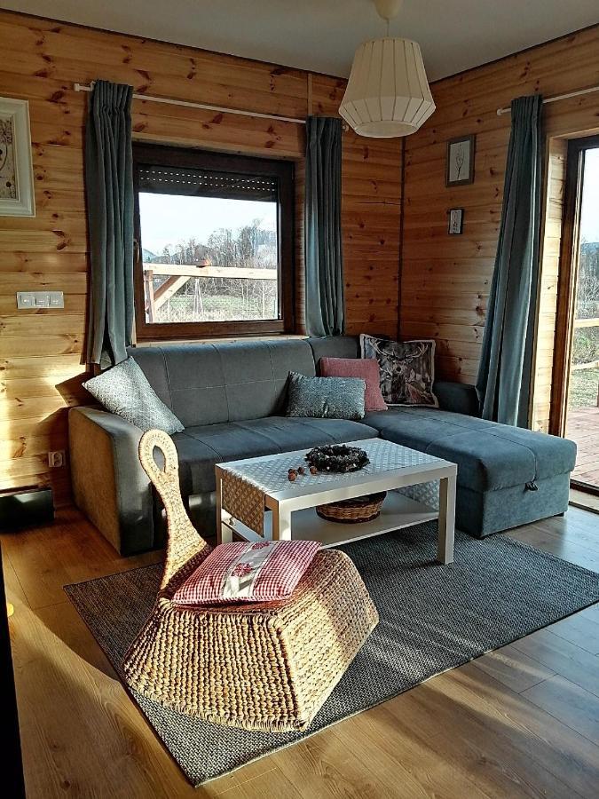 Domki Sowi Kamien Lomnica  Extérieur photo