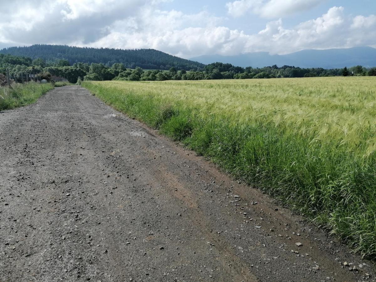 Domki Sowi Kamien Lomnica  Extérieur photo